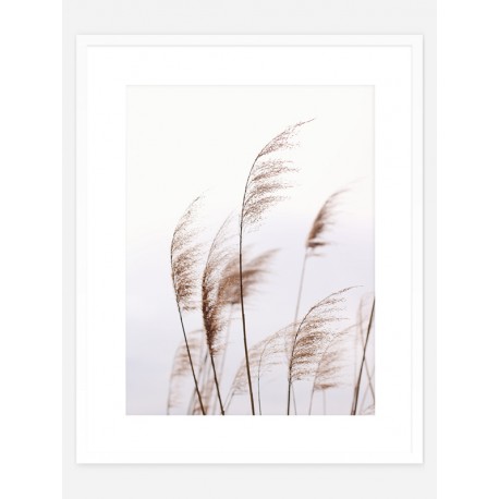 Постер "Dried flowers"