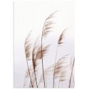Постер "Dried flowers"