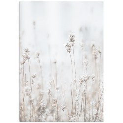 Постер "Lavender"