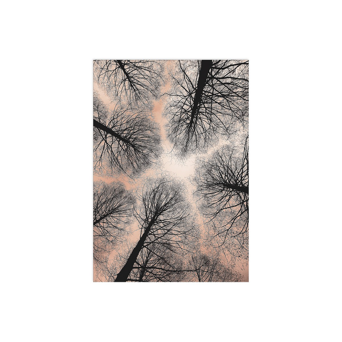 Постер "Sky"