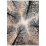 Постер "Sky"