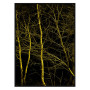 Постер "Forest"