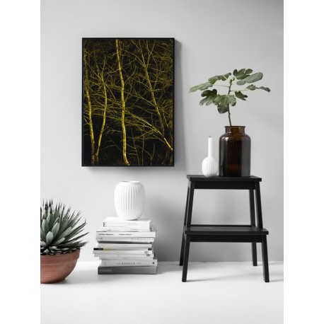 Постер "Forest"