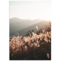Постер "Autumn"