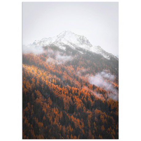 Постер "Autumn forest"