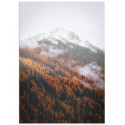 Постер "Autumn forest"