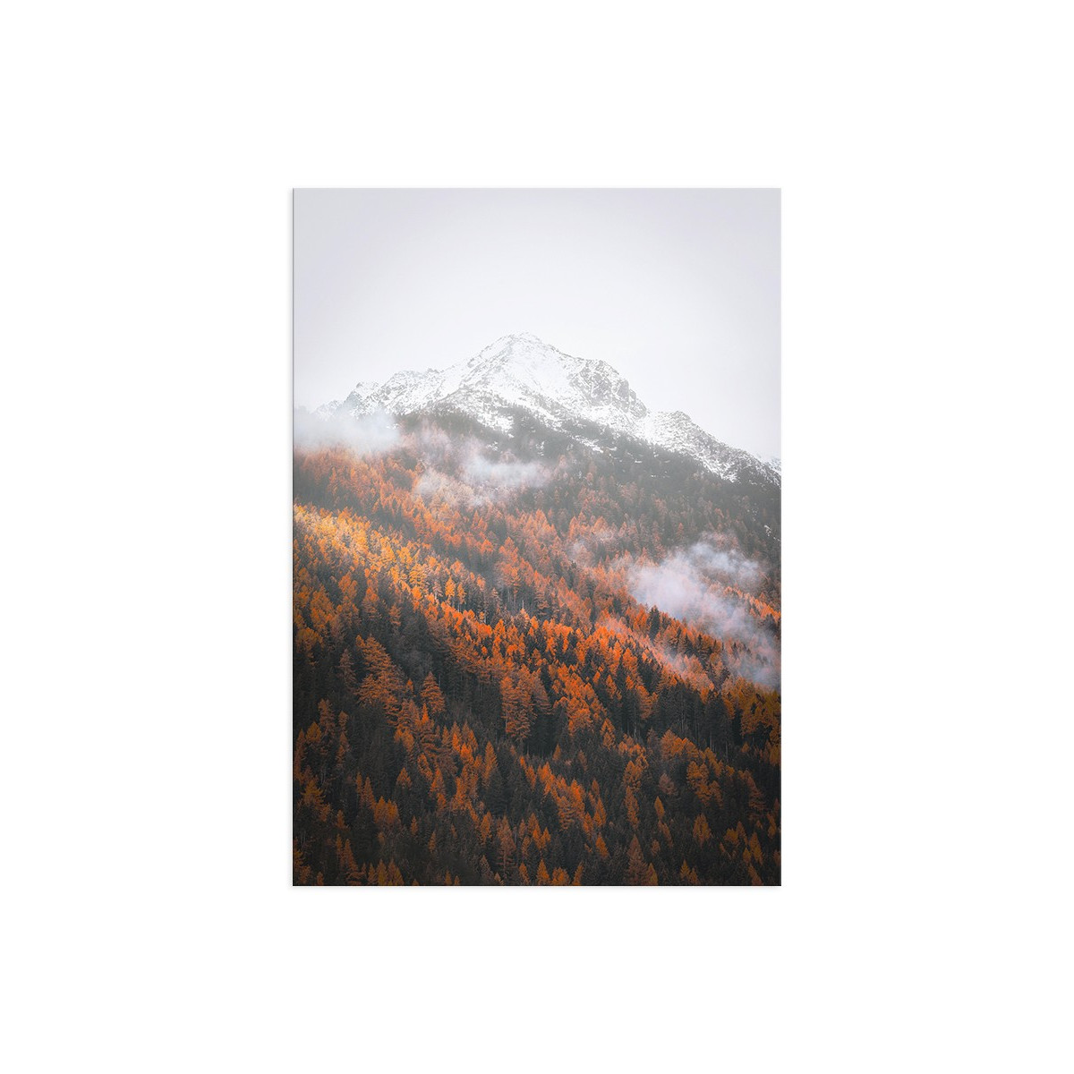 Постер "Autumn forest"