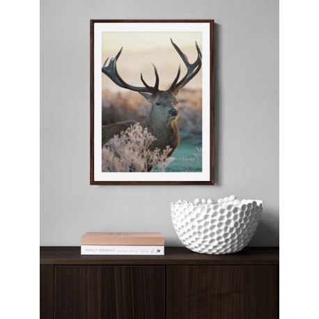 Постер "Deer"