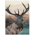 Постер "Deer"