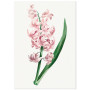 Постер "Hyacinths"