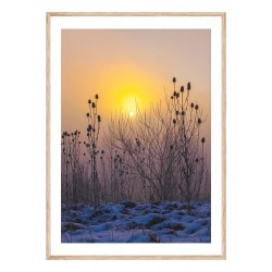 Постер "At dawn"