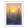 Постер "At dawn"