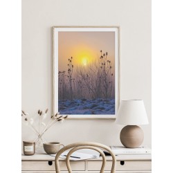 Постер "At dawn"