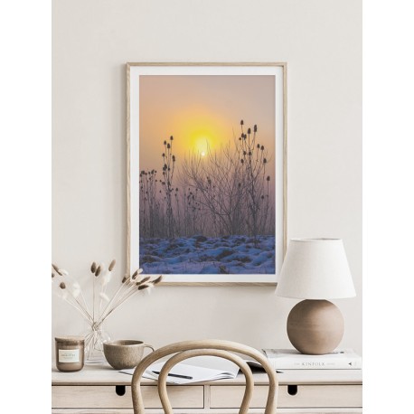 Постер "At dawn"