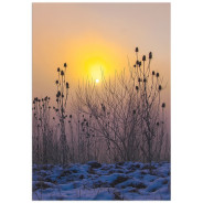 Постер "At dawn"