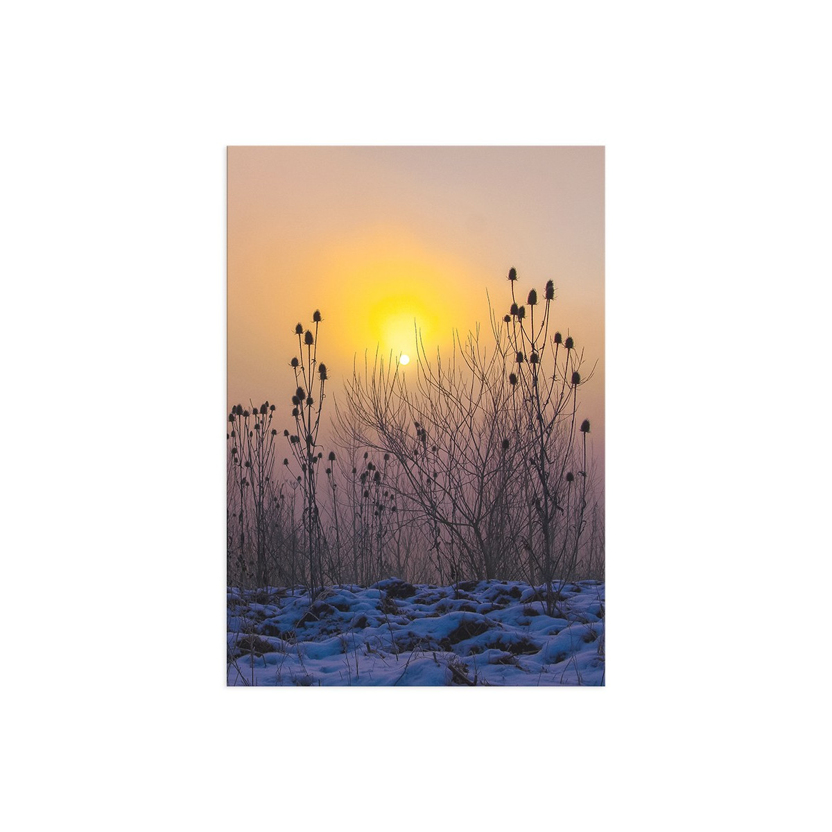 Постер "At dawn"