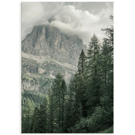 Постер "Forest"