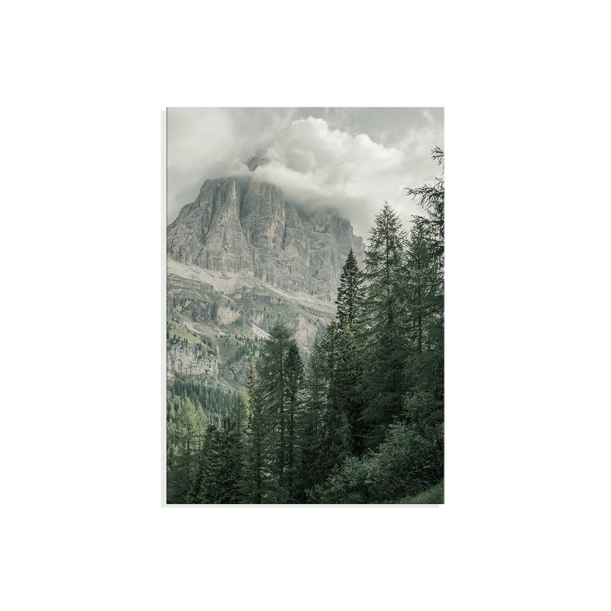 Постер "Forest"