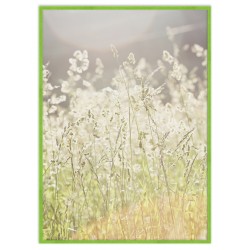 Рамка "Neon" цвет на выбор