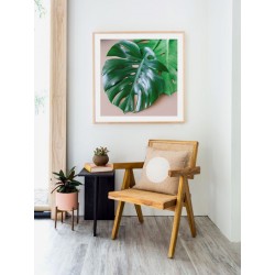 Постер "Monstera"