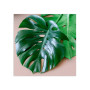 Постер "Monstera"