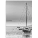 Постер "Sail Boat"