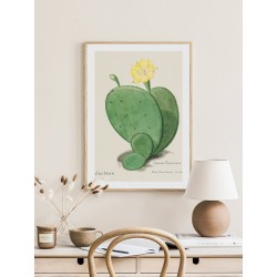 Постер "Botany. Cactus"