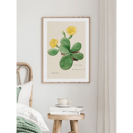 Постер "Botany. Cactus"