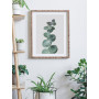 Постер "Eucalyptus"