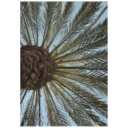 Постер "Palm"