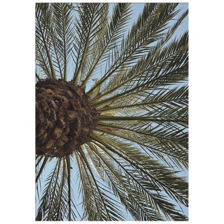 Постер "Palm"