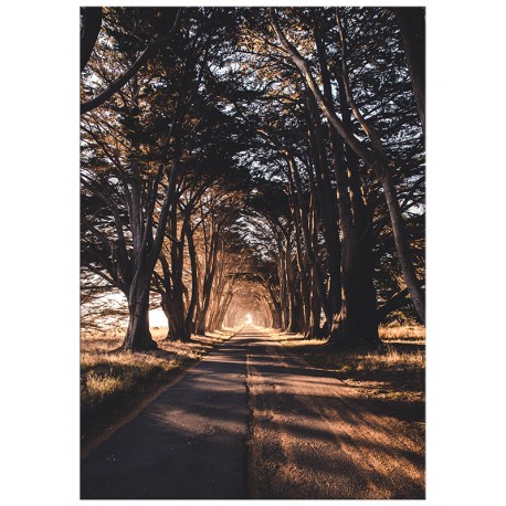 Постер "Alley"