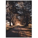 Постер "Alley"