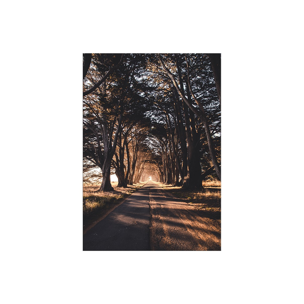 Постер "Alley"