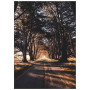 Постер "Alley"