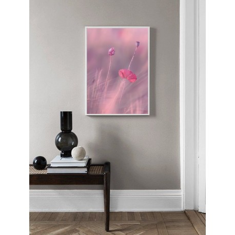 Постер "Rose"