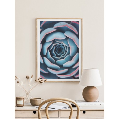Постер "Succulent"