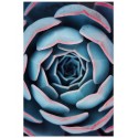 Постер "Succulent"