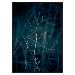 Постер "Branch"