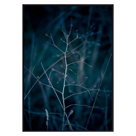 Постер "Branch"