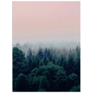 Постер "Forest"