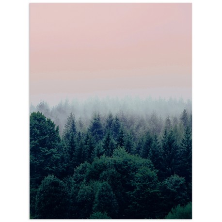 Постер "Forest"