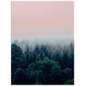Постер "Forest"