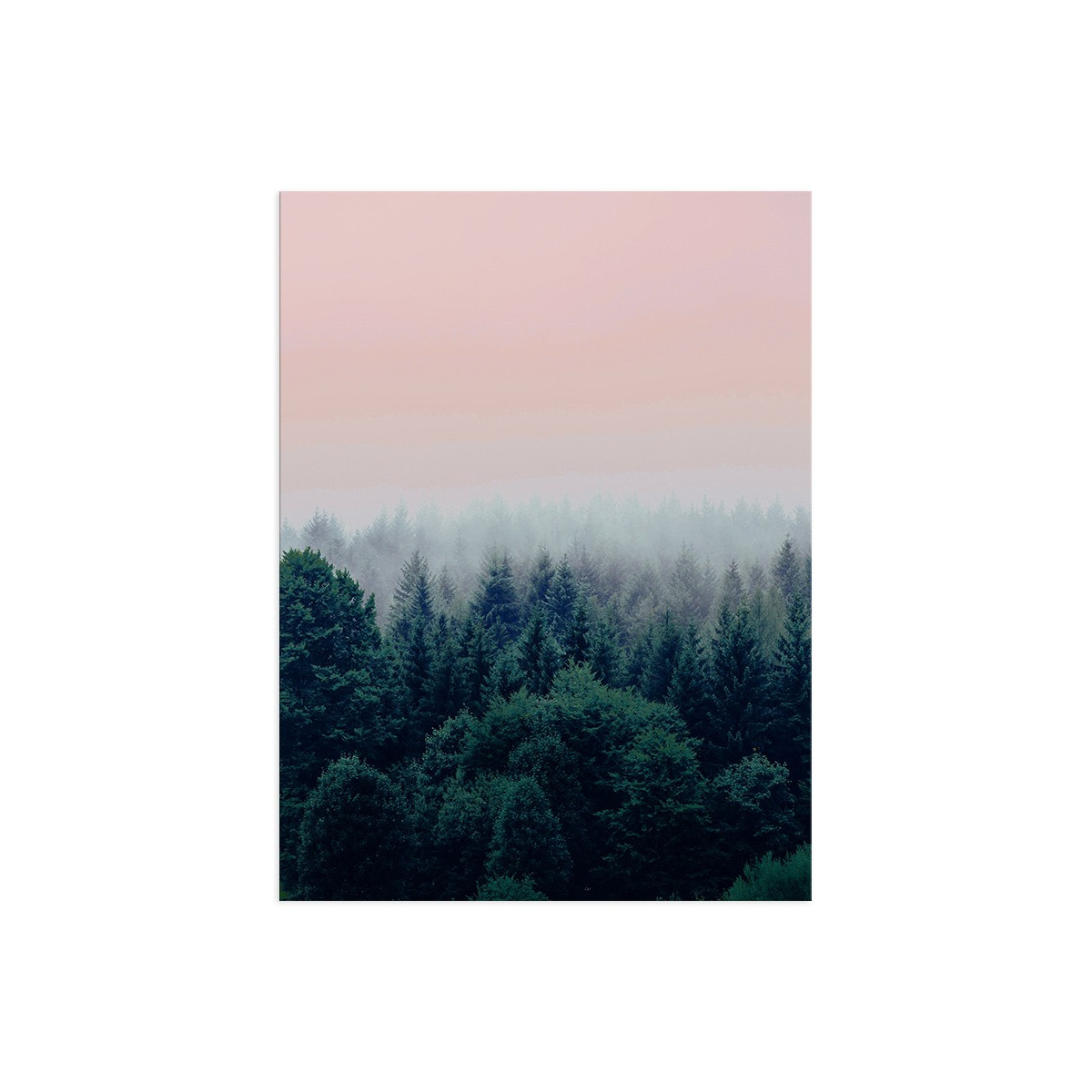 Постер "Forest"