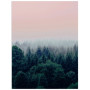 Постер "Forest"