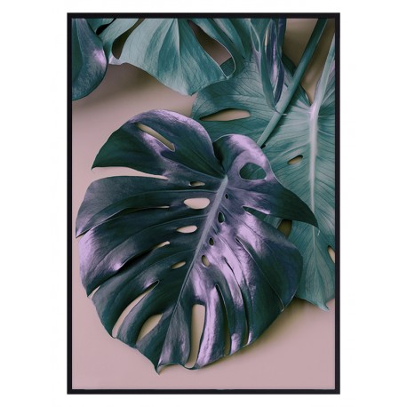 Постер "Monstera"