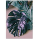 Постер "Monstera"