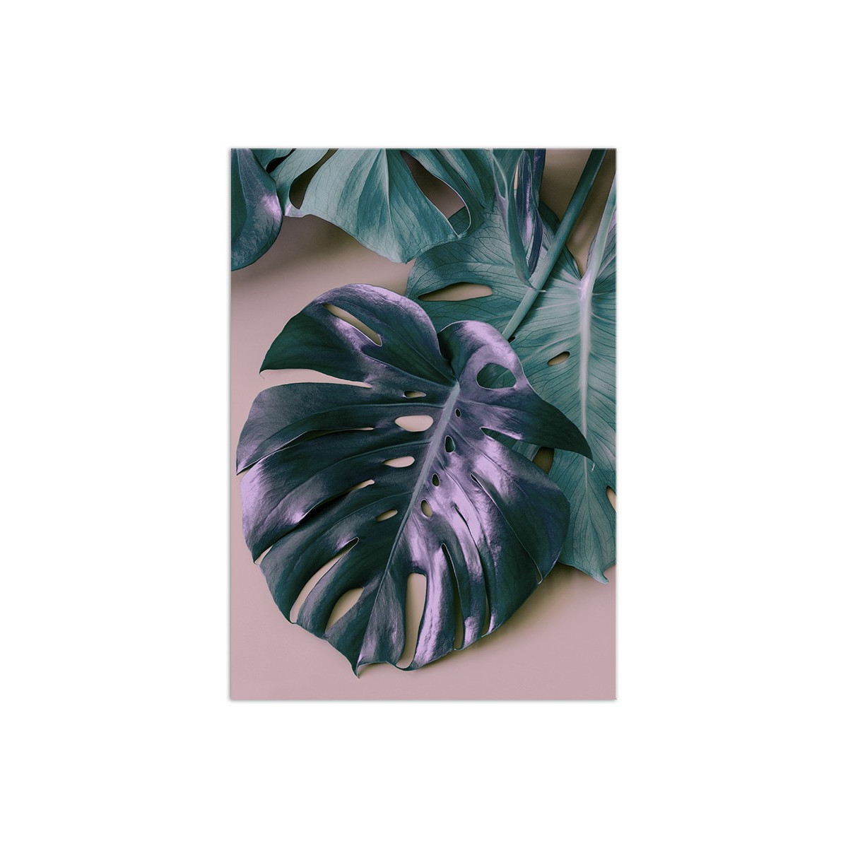 Постер "Monstera"