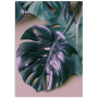 Постер "Monstera"