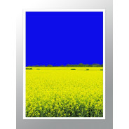 Постер "Ukraine"